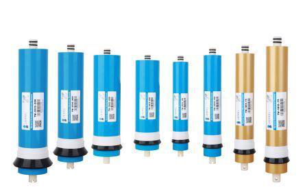 Reverse osmosis filter